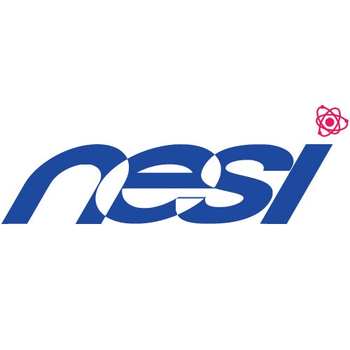 株式会社NESI