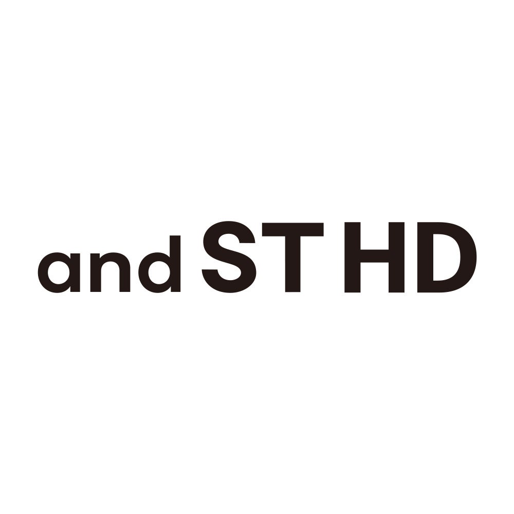 株式会社アンドエスティHD