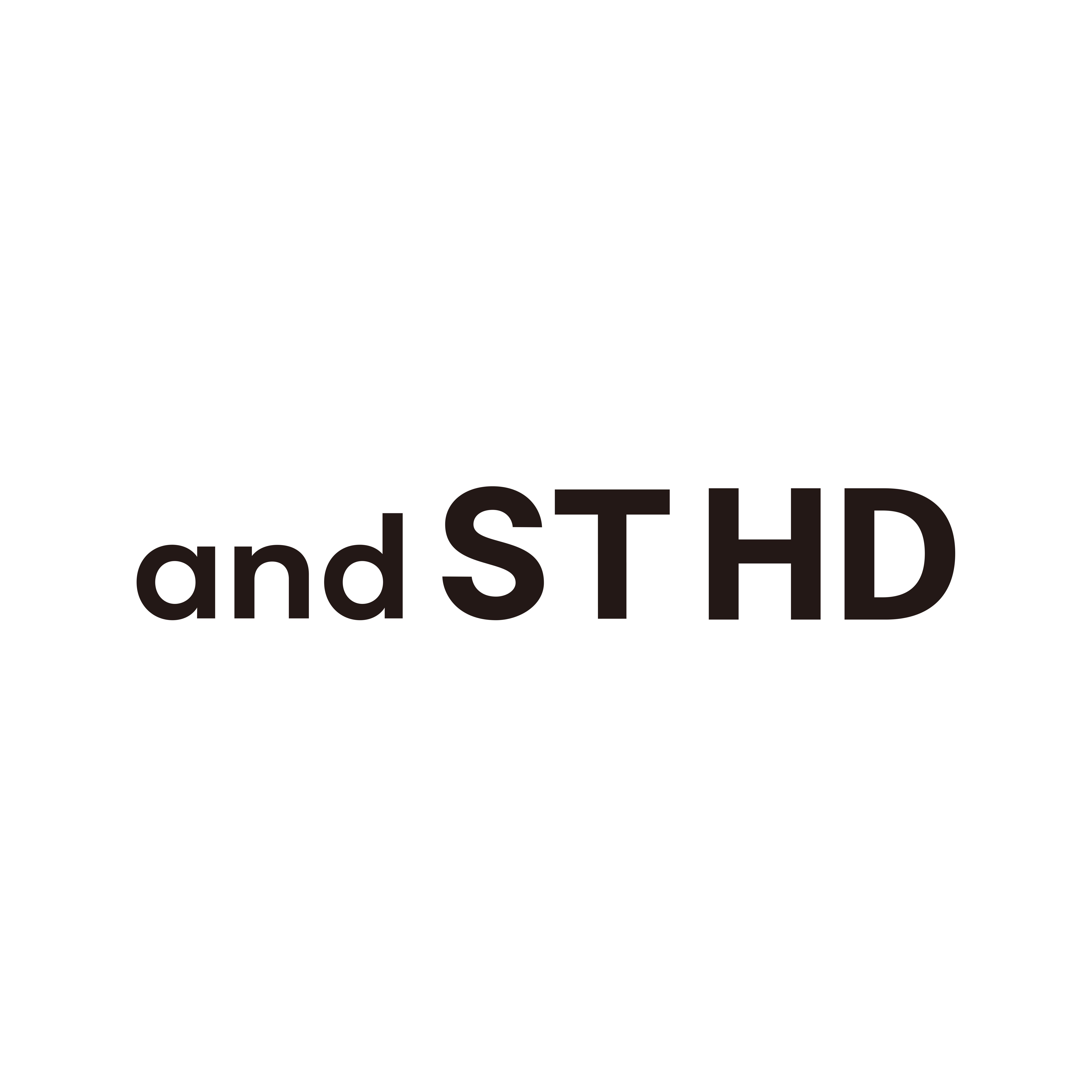 株式会社アンドエスティHD